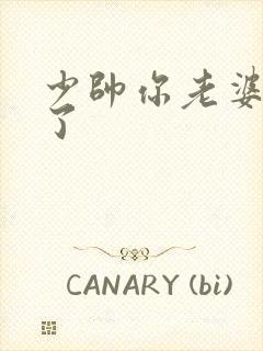 少帅你老婆又跑了