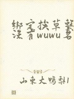 绑定挨草系统后没有wuwu名字