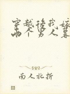 穿越后我嫁给了两个男人暮色酒歌