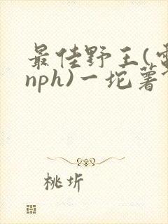 最佳野王(电竞nph)一坨薯饼