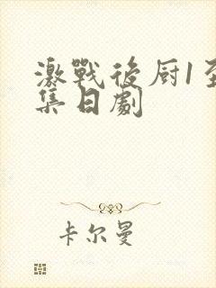 激战后厨1至5集日剧