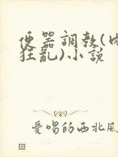 便器调教(肉体狂乱)小说