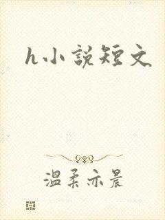 h小说短文