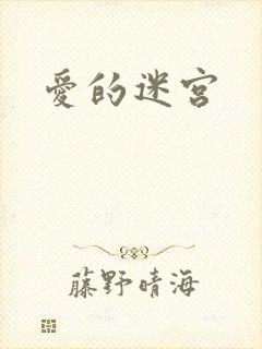 爱的迷宫