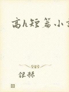 高h短篇小说封面