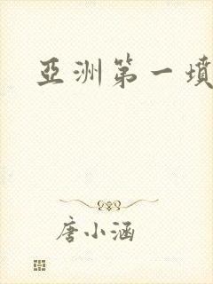 亚洲第一坟封面