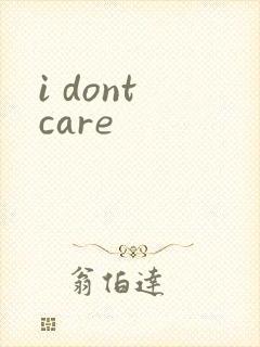 i dont care封面