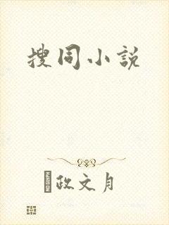 搜同小说封面