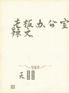 老板办公室系列辣文