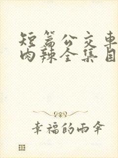 短篇公交车高h肉辣全集目录