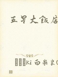五星大饭店小说