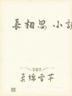 长相思 小说