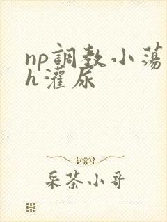 np调教小荡货h灌尿