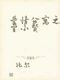 爱情公寓之极品曾小贤