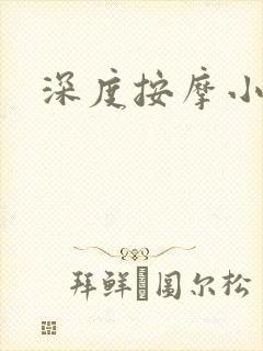 深度按摩小说