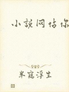 小说网站你懂的