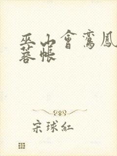 《巫山会鸾凤颠芙蓉帐》小说封面