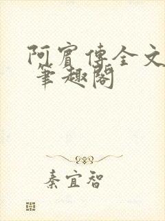 阿宾传全文阅读 笔趣阁