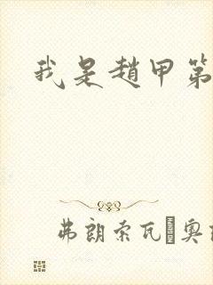 我是赵甲第小说