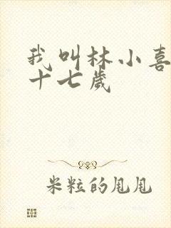 我叫林小喜今年十七岁