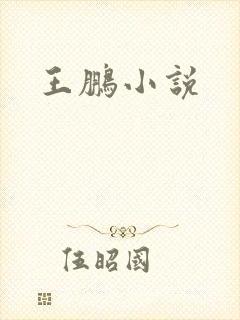 王鹏小说