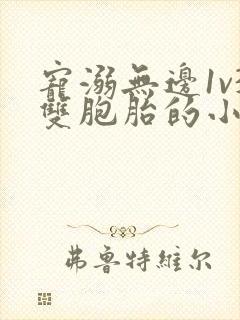 宠溺无边1v3双胞胎的小说