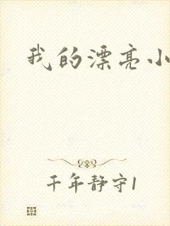 我的漂亮小后妈