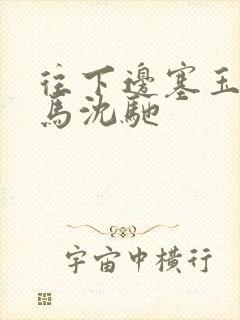 往下边塞玉器骑马沈驰