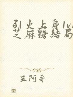 引火上身1v1芝麻糖结局