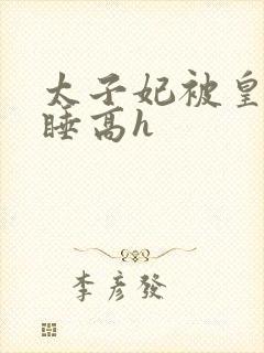 太子妃被皇上强睡高h