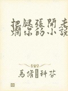 把腿张开老子臊烂你的小说