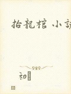 抬龙棺 小说封面