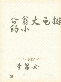 公翁大龟挺进我的小