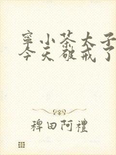 宁小茶太子殿下今天破戒了吗免费阅读