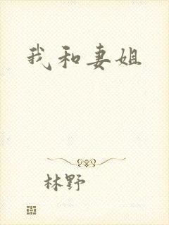 《我和妻姐》小说封面