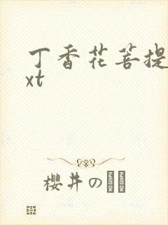 丁香花菩提树txt