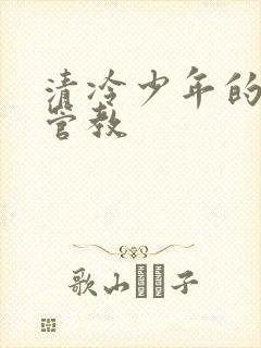 清冷少年的严厉管教