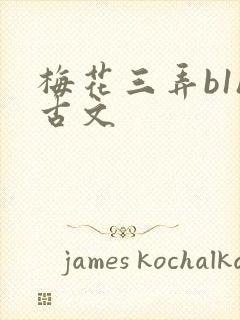 梅花三弄b1h古文