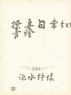 撩妻日常txt青灯