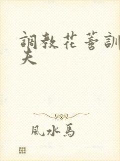 调教花蒂训诫从夫