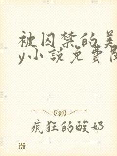 被囚禁的美人by小说免费阅读