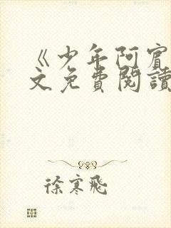 《少年阿宾》全文免费阅读