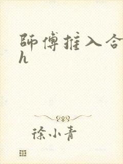师傅推入合欢丸h封面