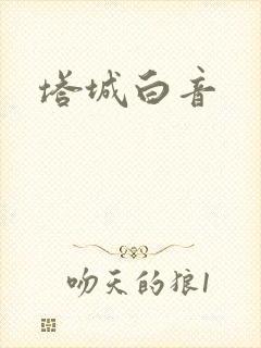 塔城白音封面