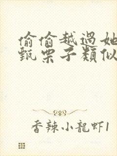 偷偷越过她by甄栗子类似小说