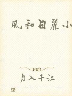 风和日丽小说