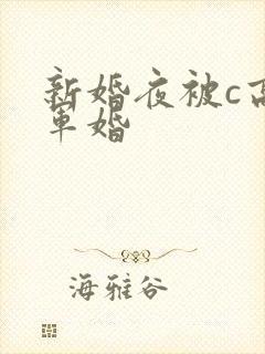 新婚夜被c高h军婚