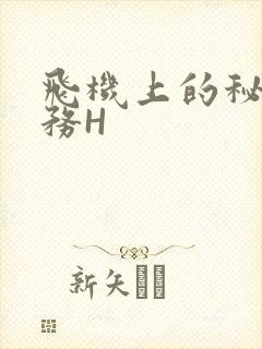 飞机上的秘密服务H