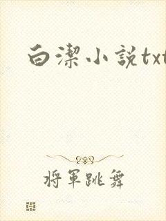 白洁小说txt