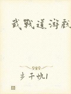 武战道游戏